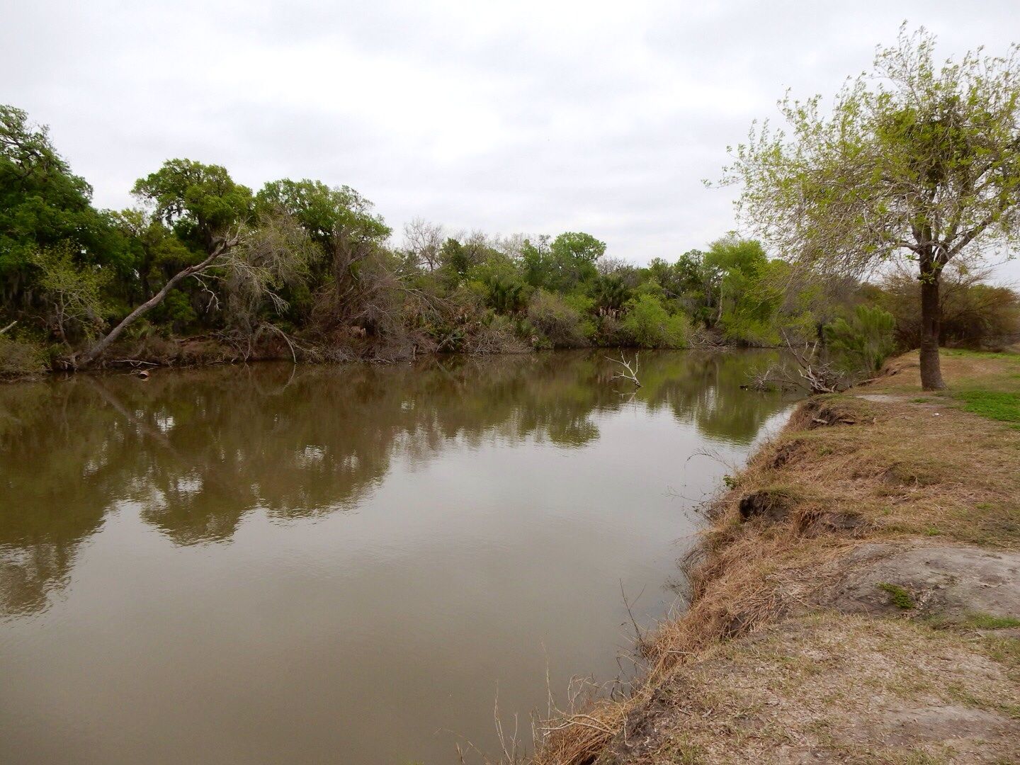 Winds of Destiny RVLife Hazel Bazemore County Park 3/11/15